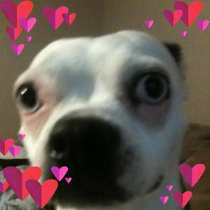 Meet your Posher, Tracey